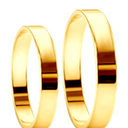 Lapos karikagyűrűk