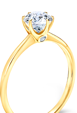 Kollekció The Journey